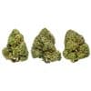 Pink Kush buds