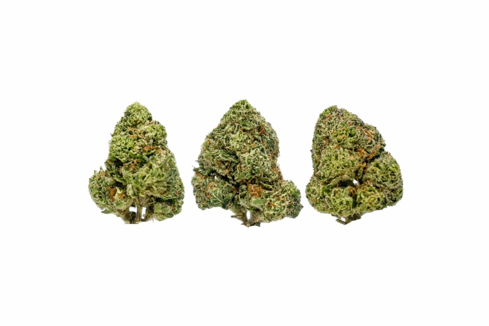 Pink Kush buds