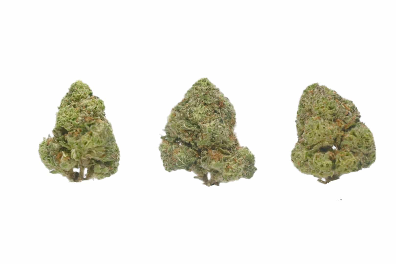 Pink Kush April 2026 3 buds