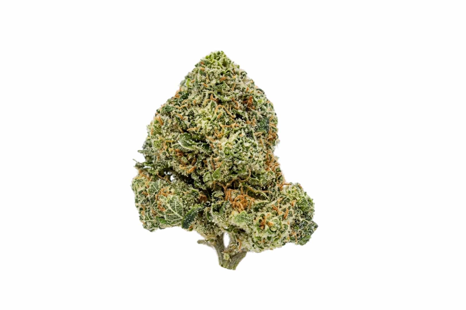 Pink Kush strain