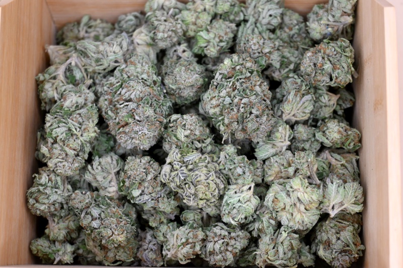 Pink Kush buds