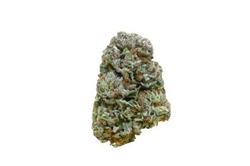 Pink Kush strain