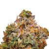 Platinum Bubba strain