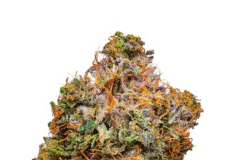 Platinum Bubba strain