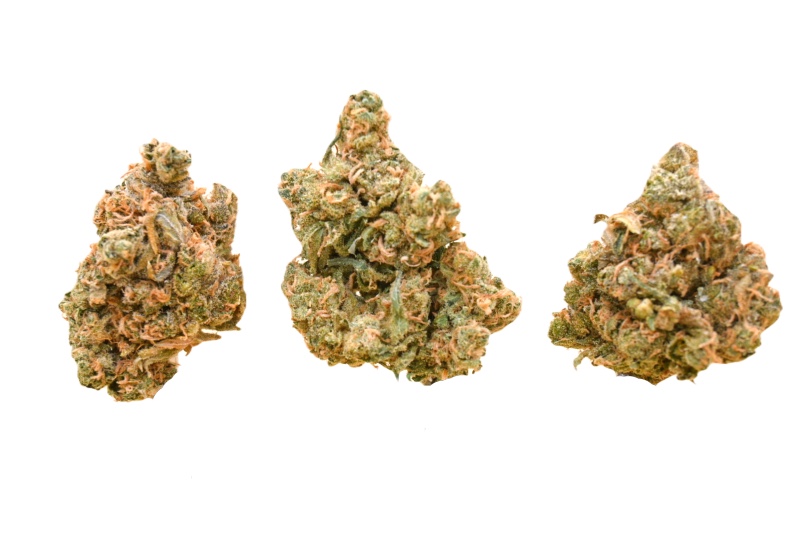 Super Lemon Haze buds close 1