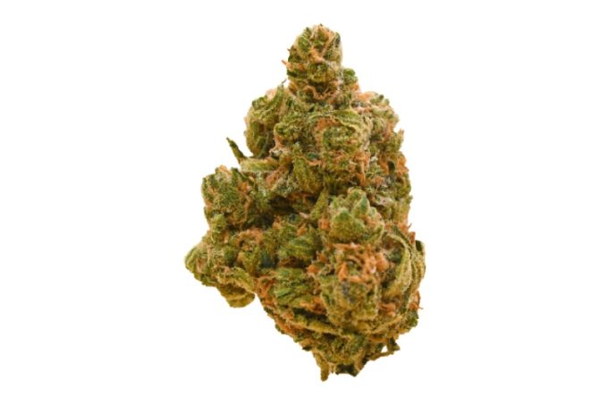 Super Lemon Haze strain