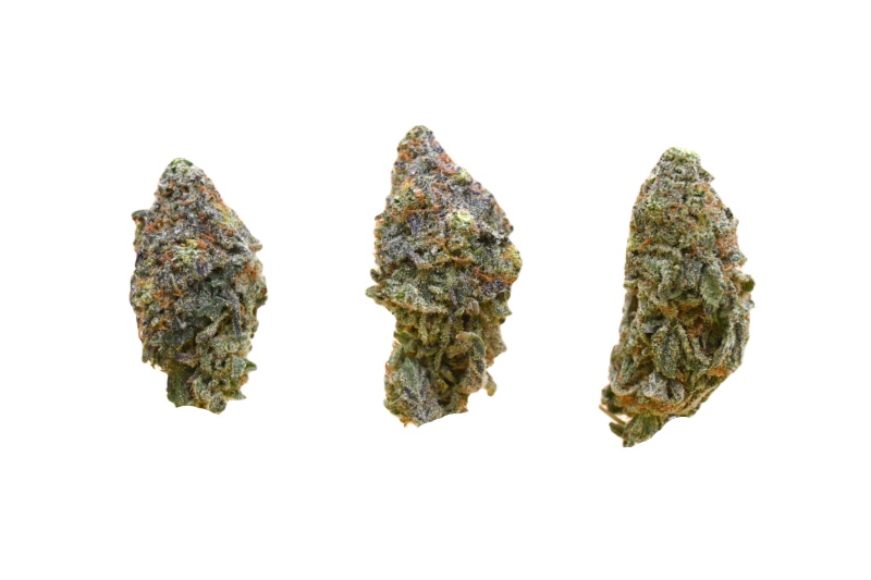 Blue Dream buds