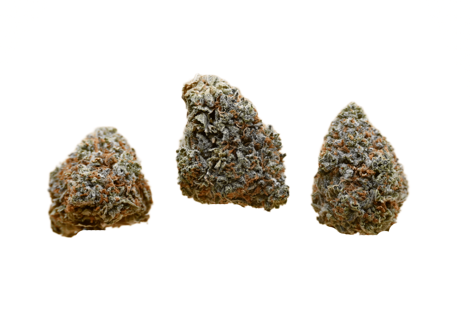 Blue Dream buds
