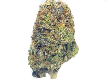 Organic Rockstar strain for sale canada wide weed