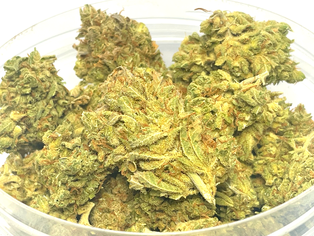 Blue Monkey strain ounce