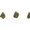 MK Ultra small buds 1