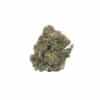 MK Ultra strain