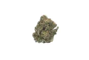 MK Ultra strain