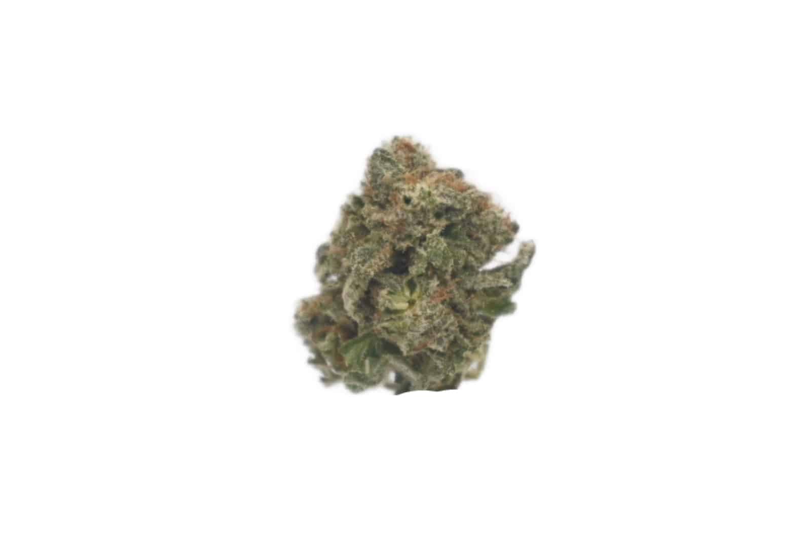 MK Ultra strain