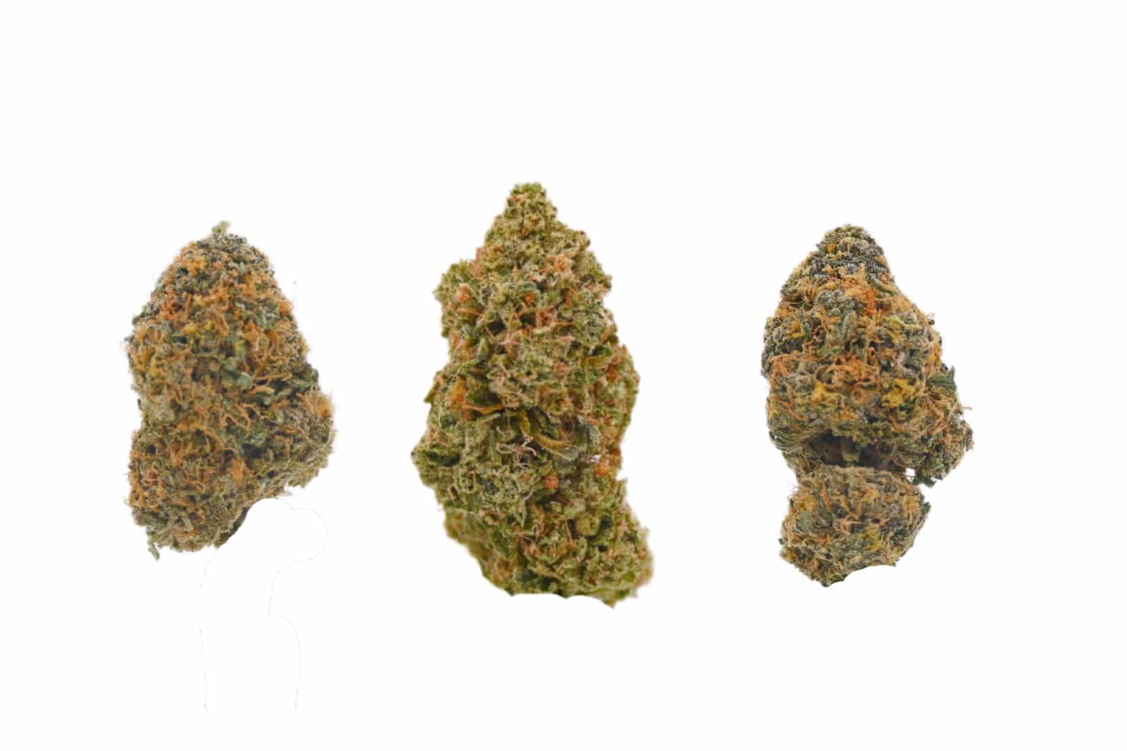 Master Kush Buds Master Kush Buds