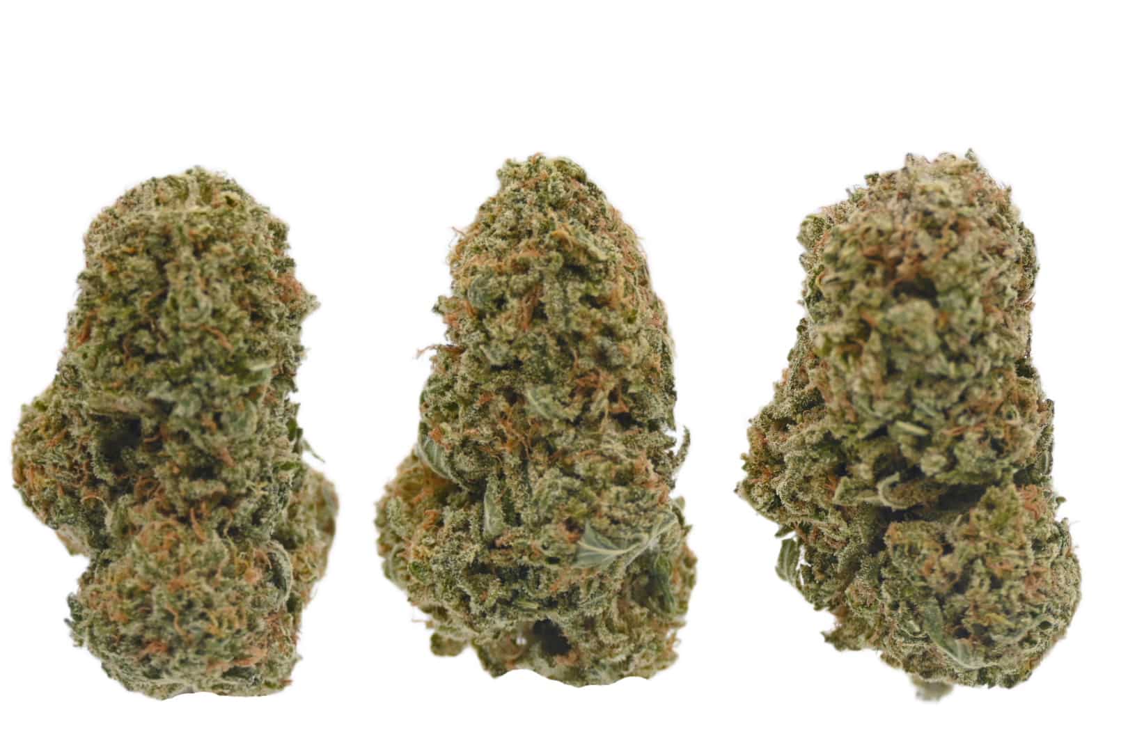 Alaskan Thunder Fuck buds