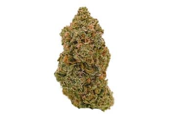 Wedding Cake strain
