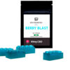 Berry Blast CBD Gummies