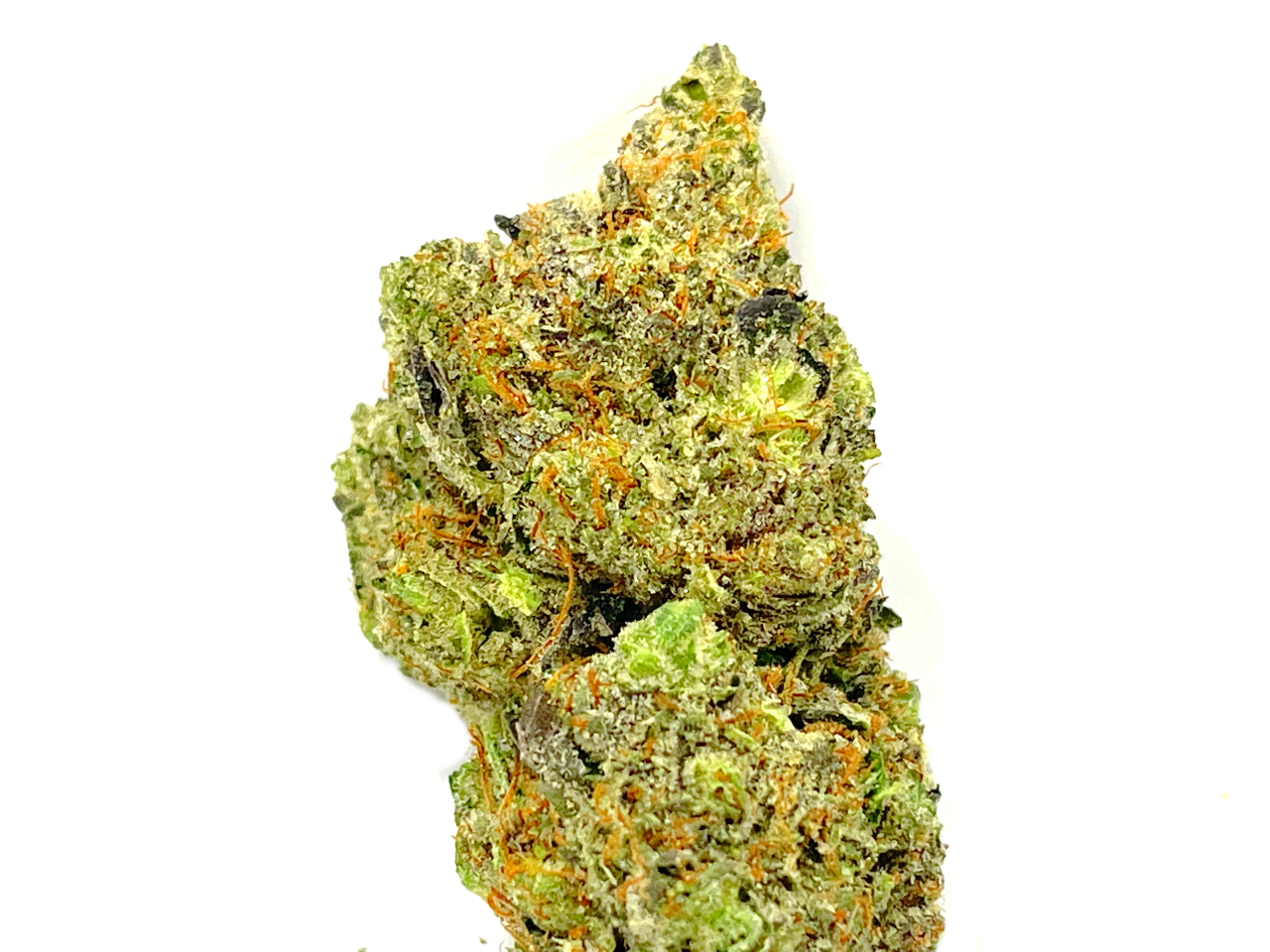 Lindsay OG Strain purple Lindsay OG strain for sale online AAAA indica cannabis canada wide weed