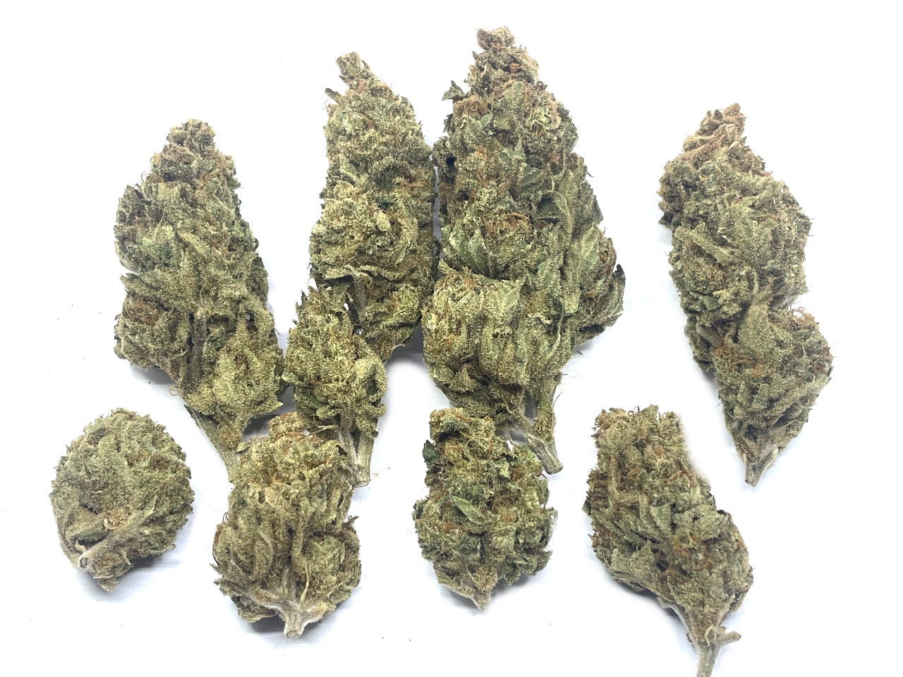 White Widow buds living soil organic fresh summer 2023