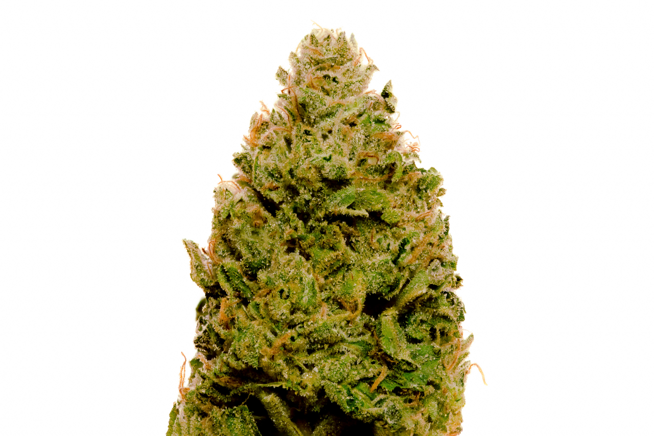 Sour Dosidos strain Sour Dosidos strain