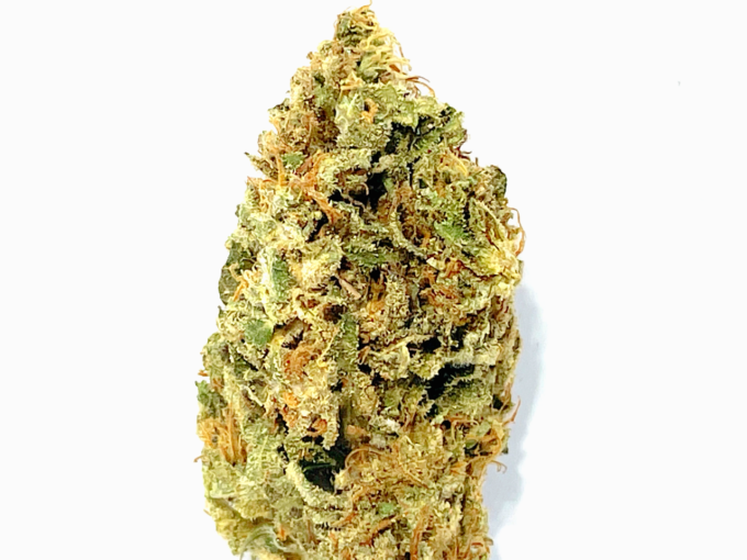 Blue Guava strain