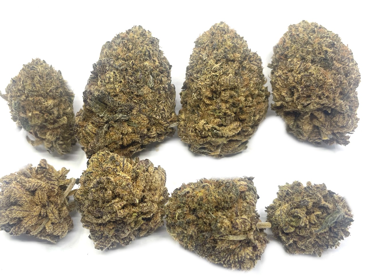 Purple Bubba nugs Purple Bubba