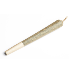 Jack Herer preroll