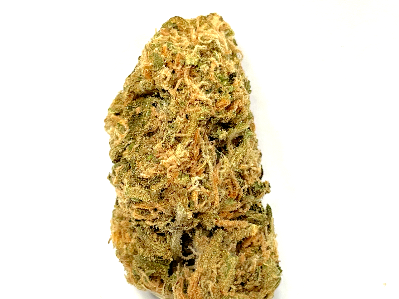Matterhorn Swiss Sativa Matterhorn Swiss Sativa