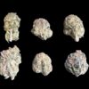 Cookie Dough Gelato buds