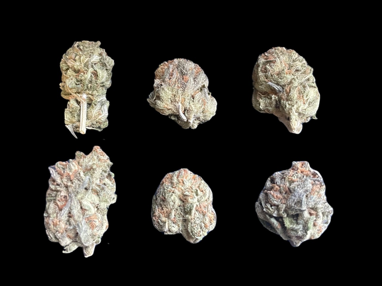 Cookie Dough Gelato buds