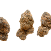 Orange Crush buds Orange Crush buds