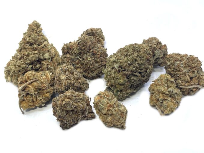 Orange Crush buds