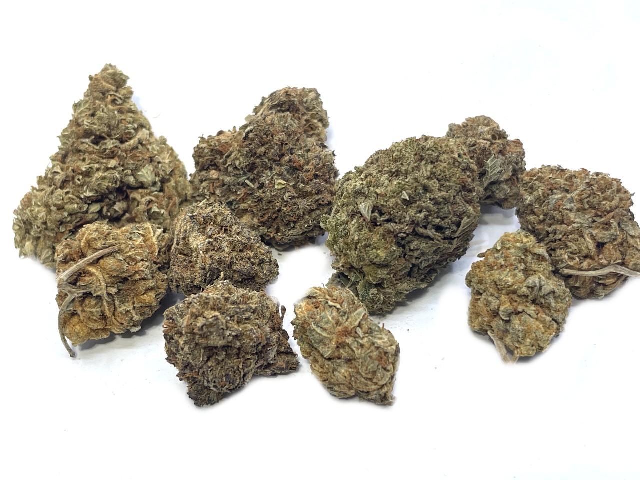 Orange Crush buds Orange Crush buds