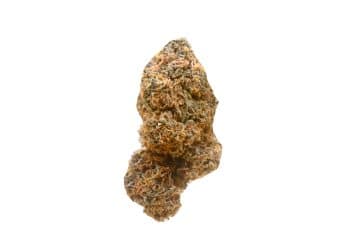 Orange Crush strain