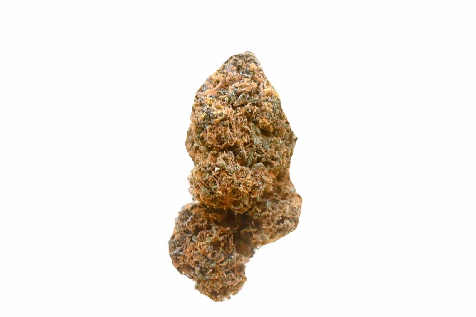 Orange Crush strain Orange Crush strain