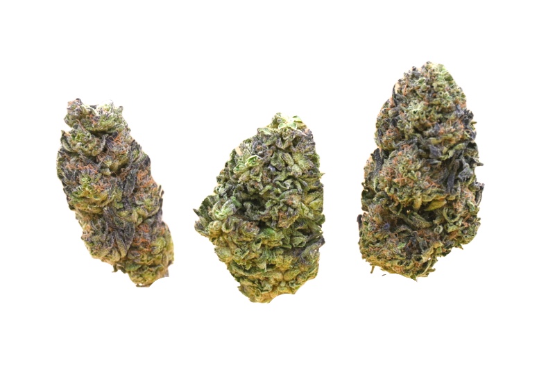 Purple Papaya buds 1