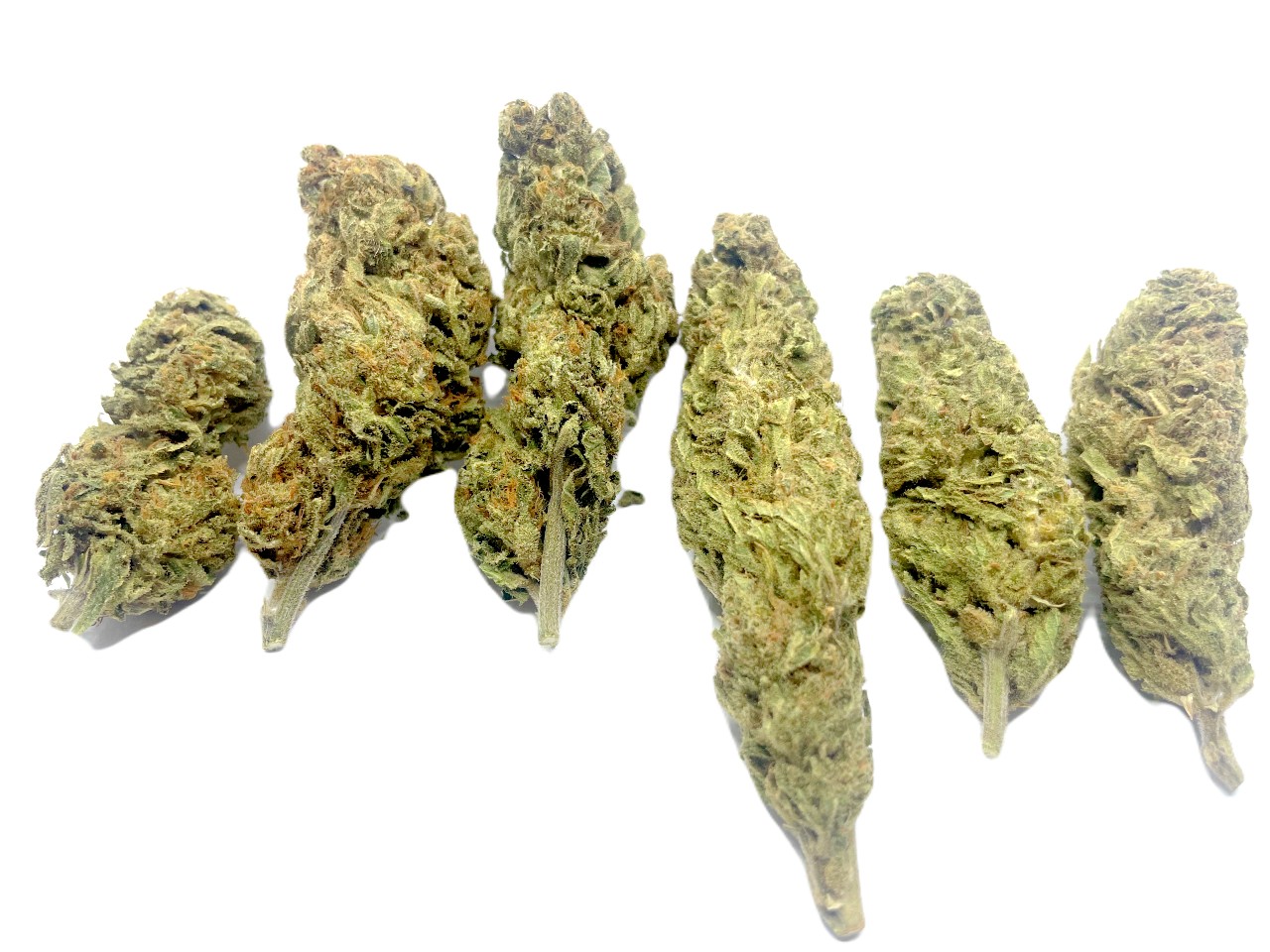 Blueberry Haze buds Blueberry Haze buds