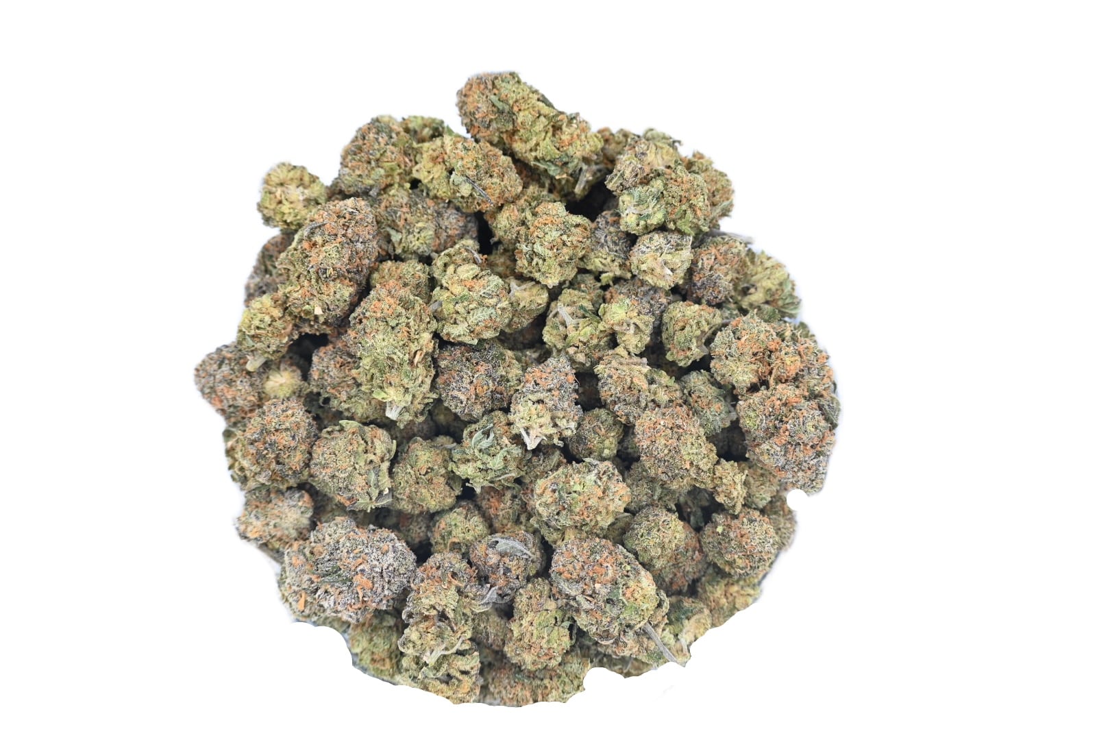 Death Bubba April 2026 group shot