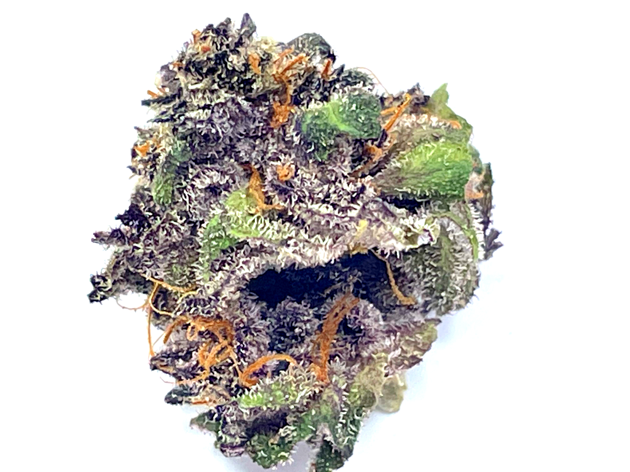 Purple Candy flower Purple Candy flower