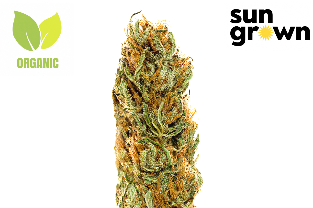 Silver Lemon Haze sun grown living soil organic Silver Lemon Haze sun grown living soil organic