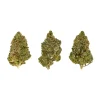 rockstar-delivery-weed-vancouver-1