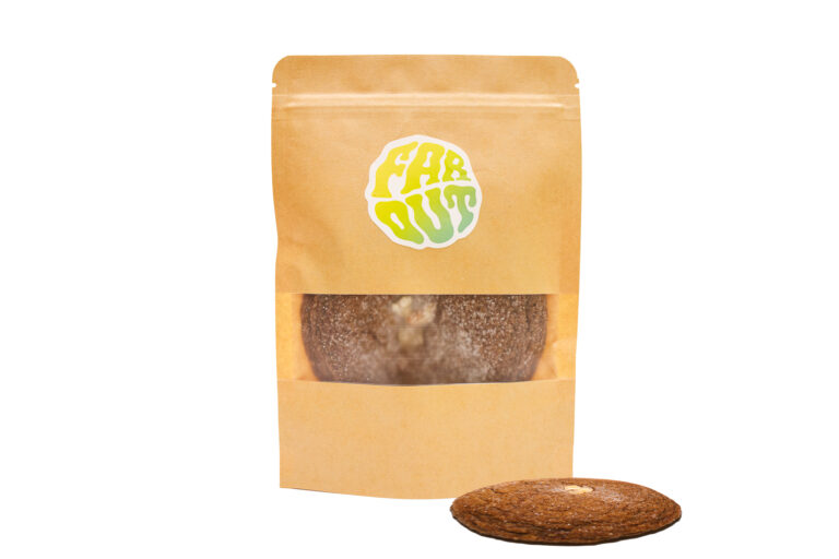 Far Out Ginger Molasses Cookie