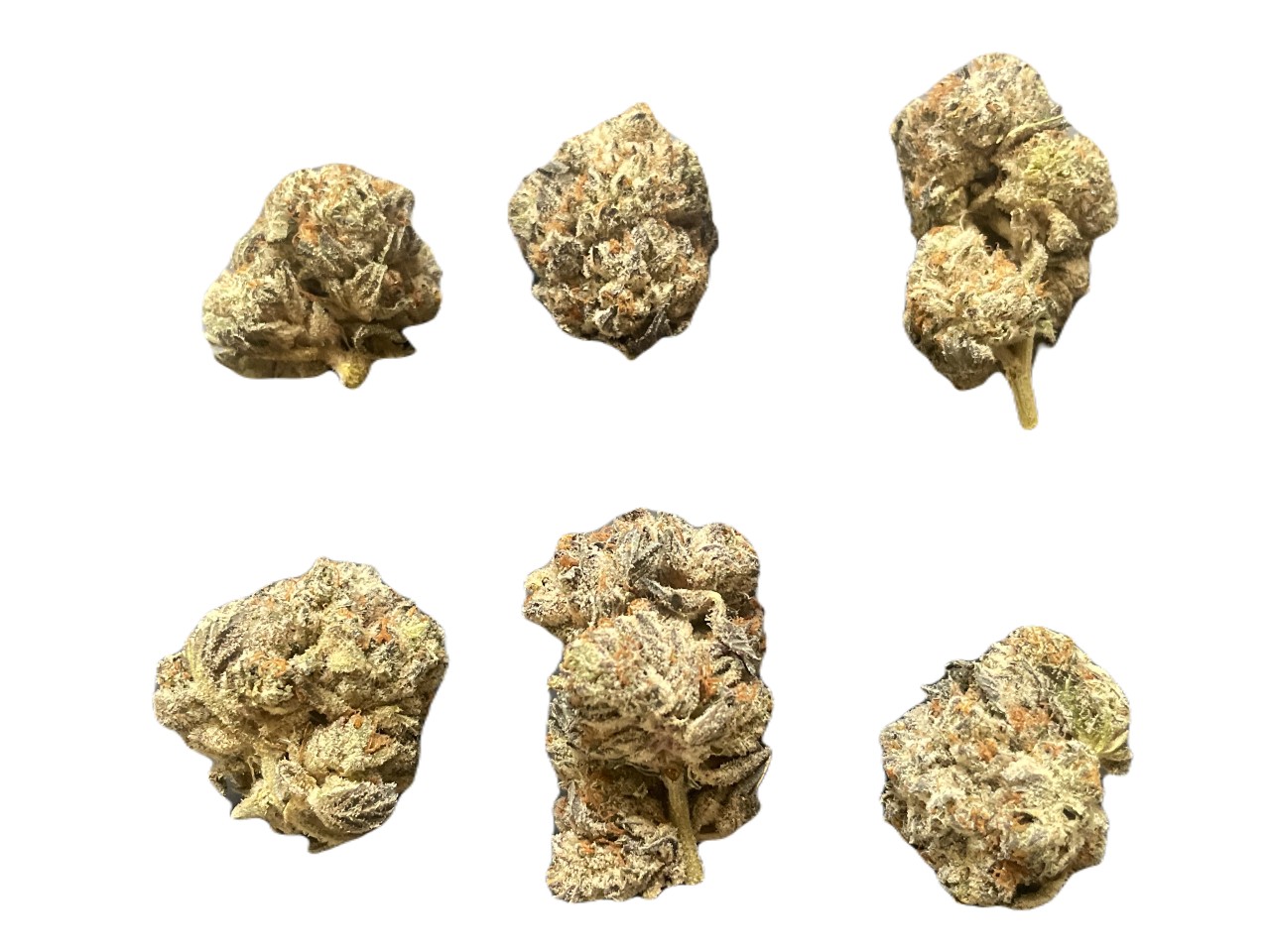 Girl Scout Cookies buds Girl Scout Cookies buds