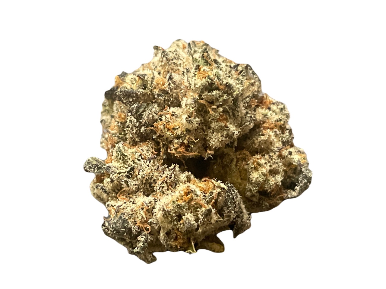 Girl Scout Cookies strain Girl Scout Cookies strain