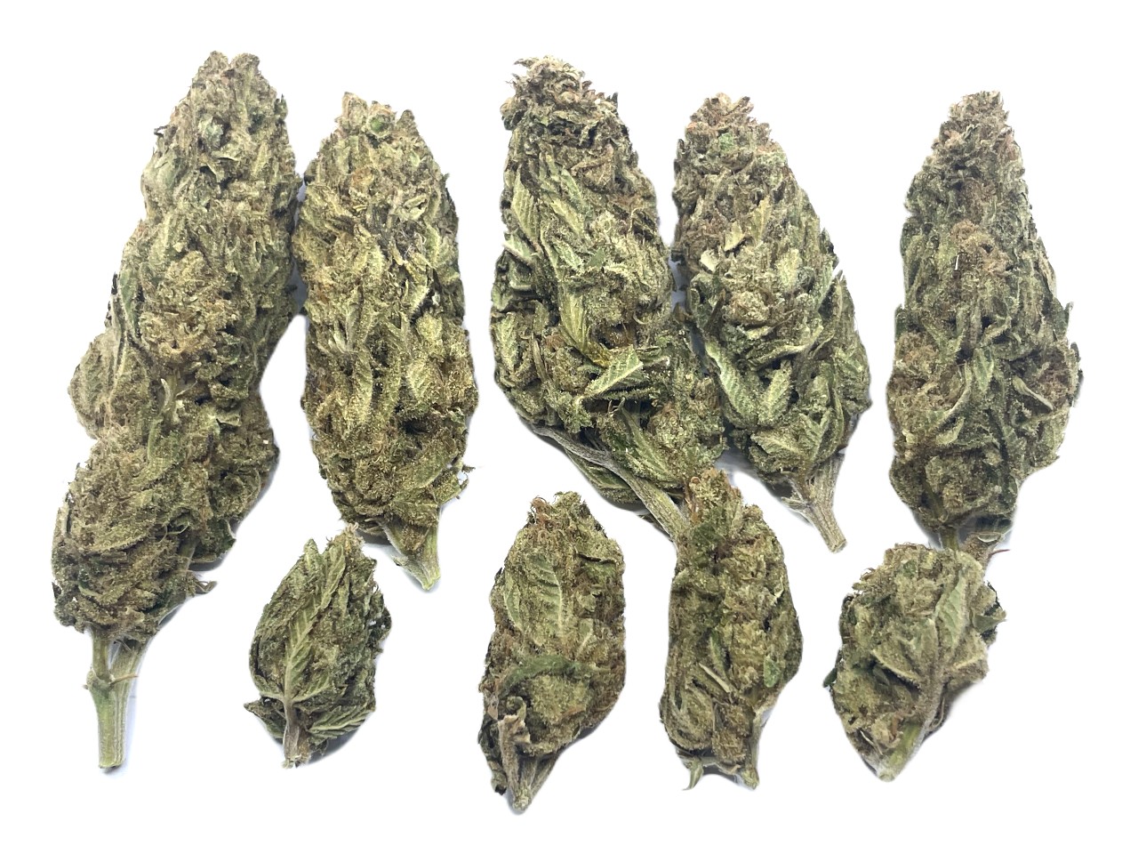 Kerosene buds Kerosene buds