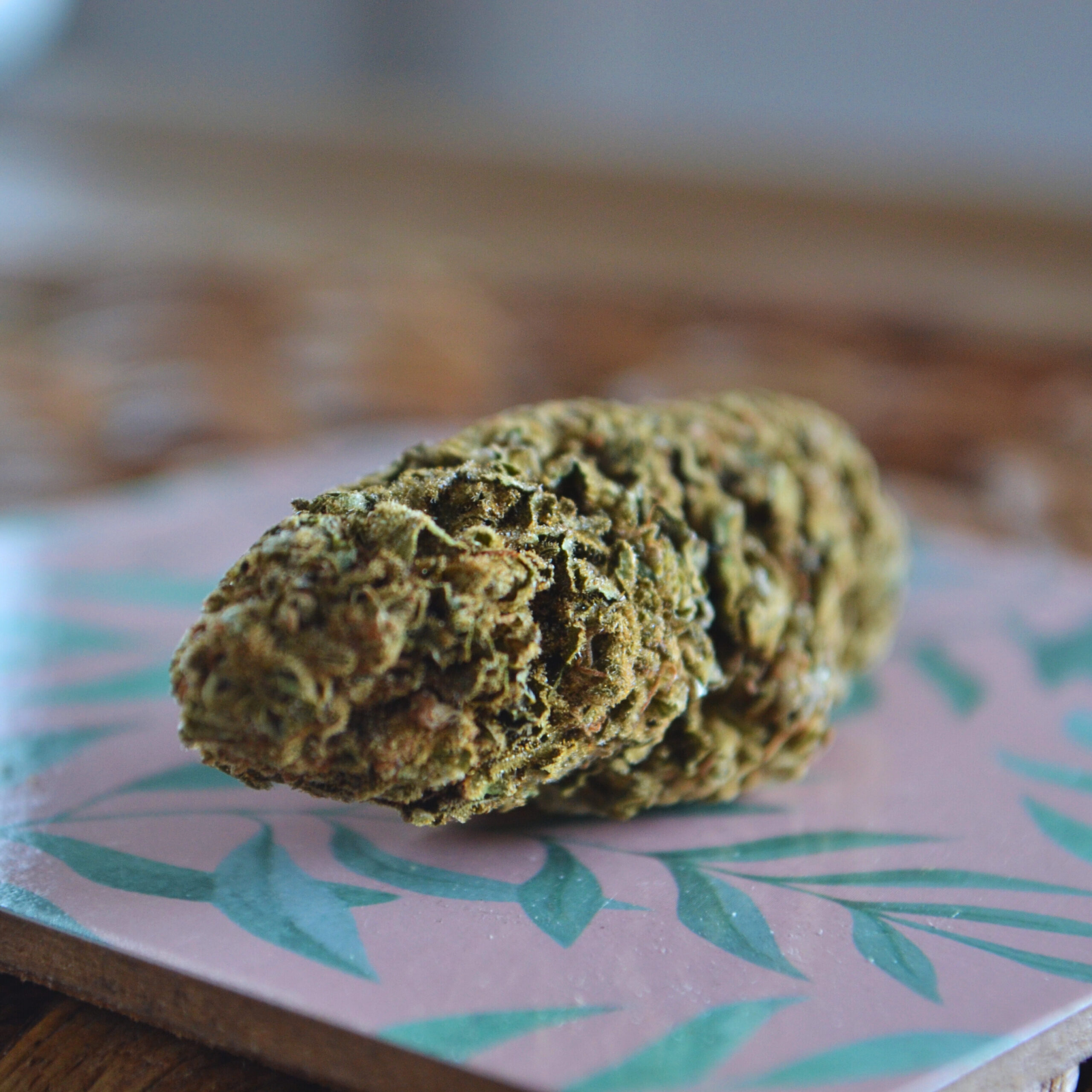 Kerosene social media Kerosene strain