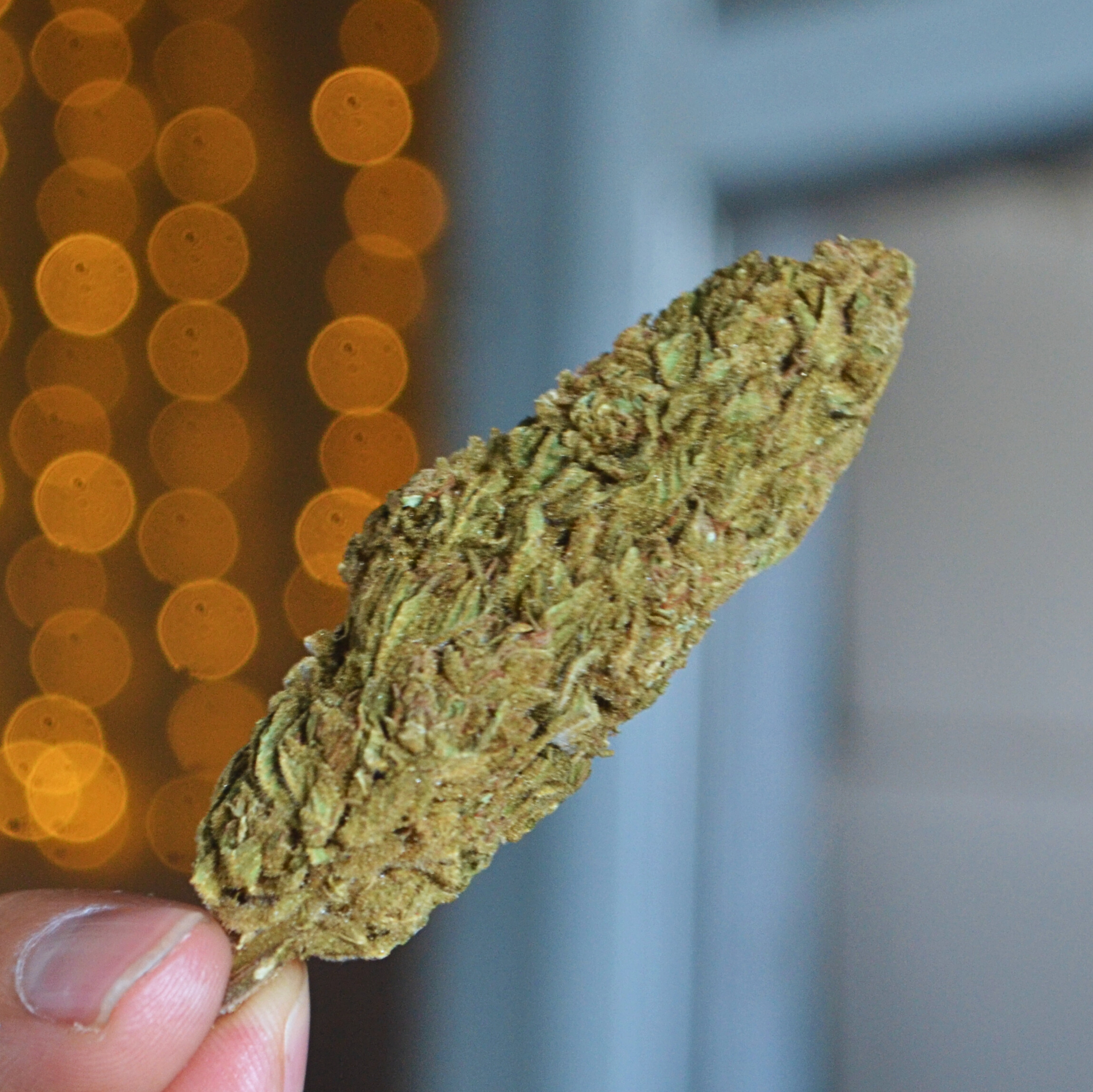 ab4b6584-f0cd-403c-a250-3251404c0721 Kerosene handheld