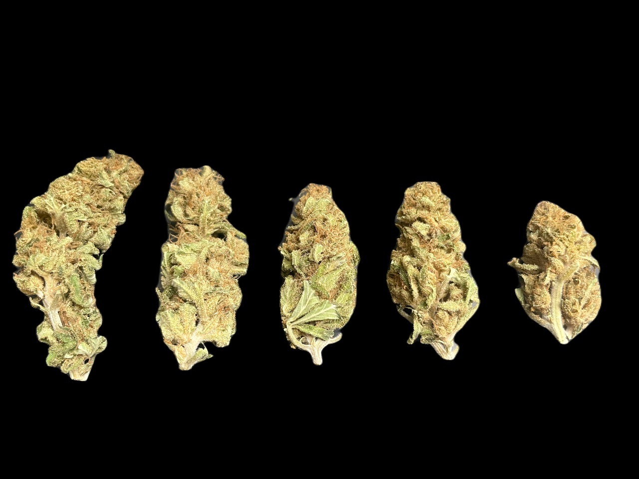 Blue Dream buds Blue Dream buds