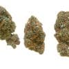 Rockstar buds 2